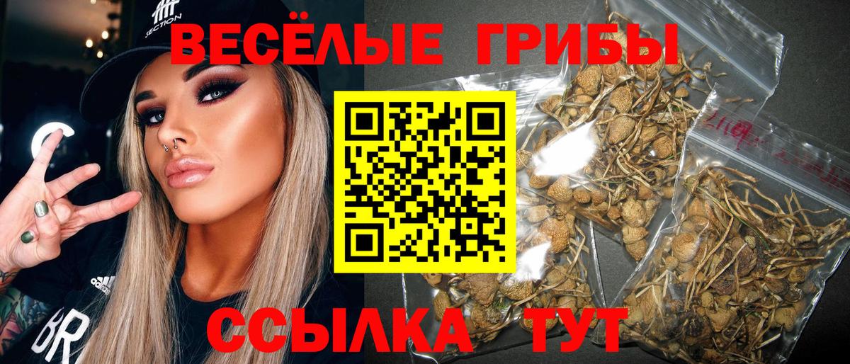 Галлюциногенные грибы MAGIC MUSHROOMS Керчь
