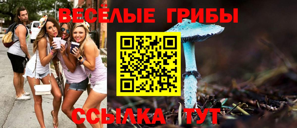 Галлюциногенные грибы Psilocybe  Вход с VPN  Керчь 
